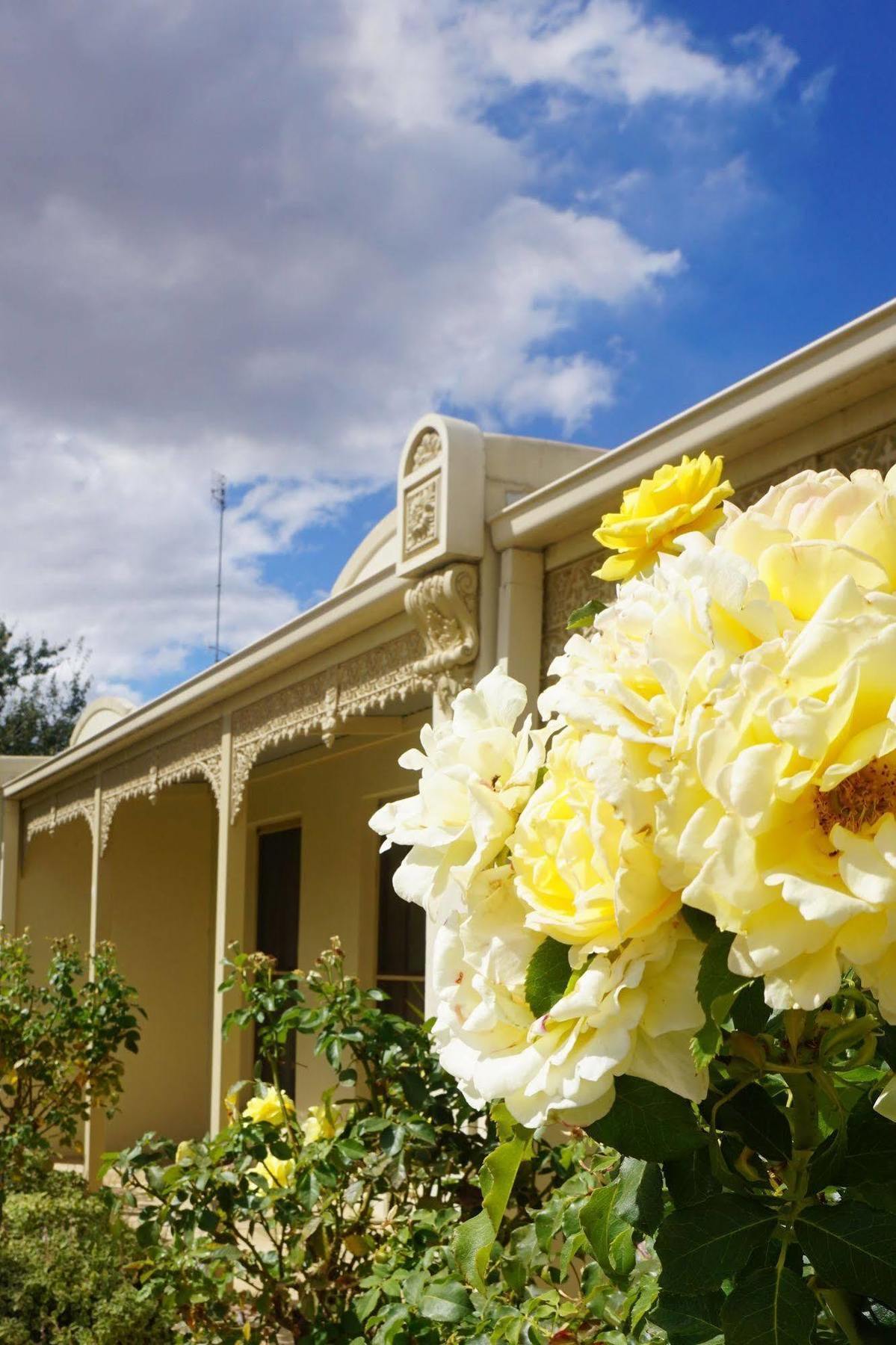 Aparthotel Acacia Terraces Echuca Exterior foto